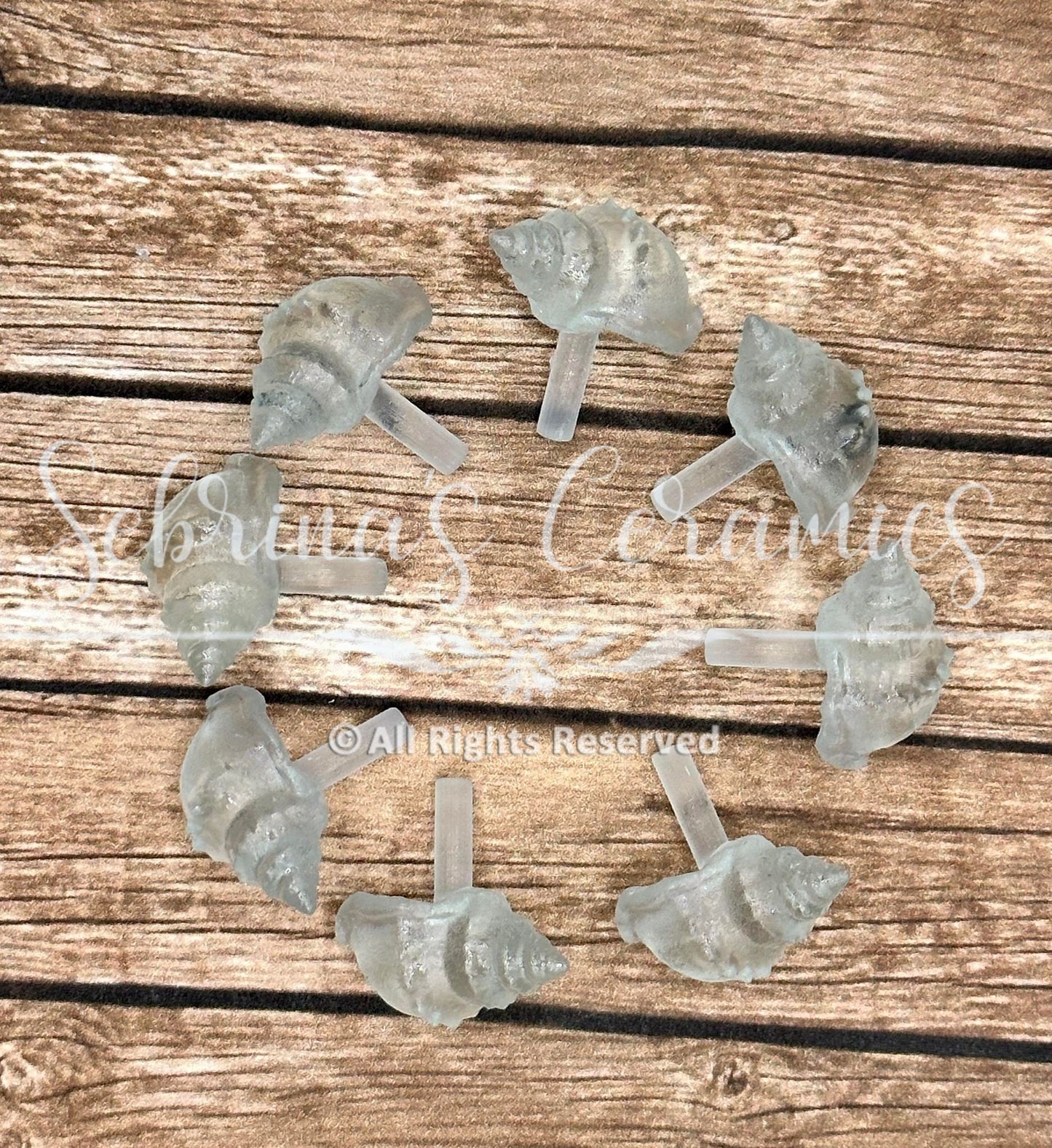 Seashell - Christmas Tree Lights