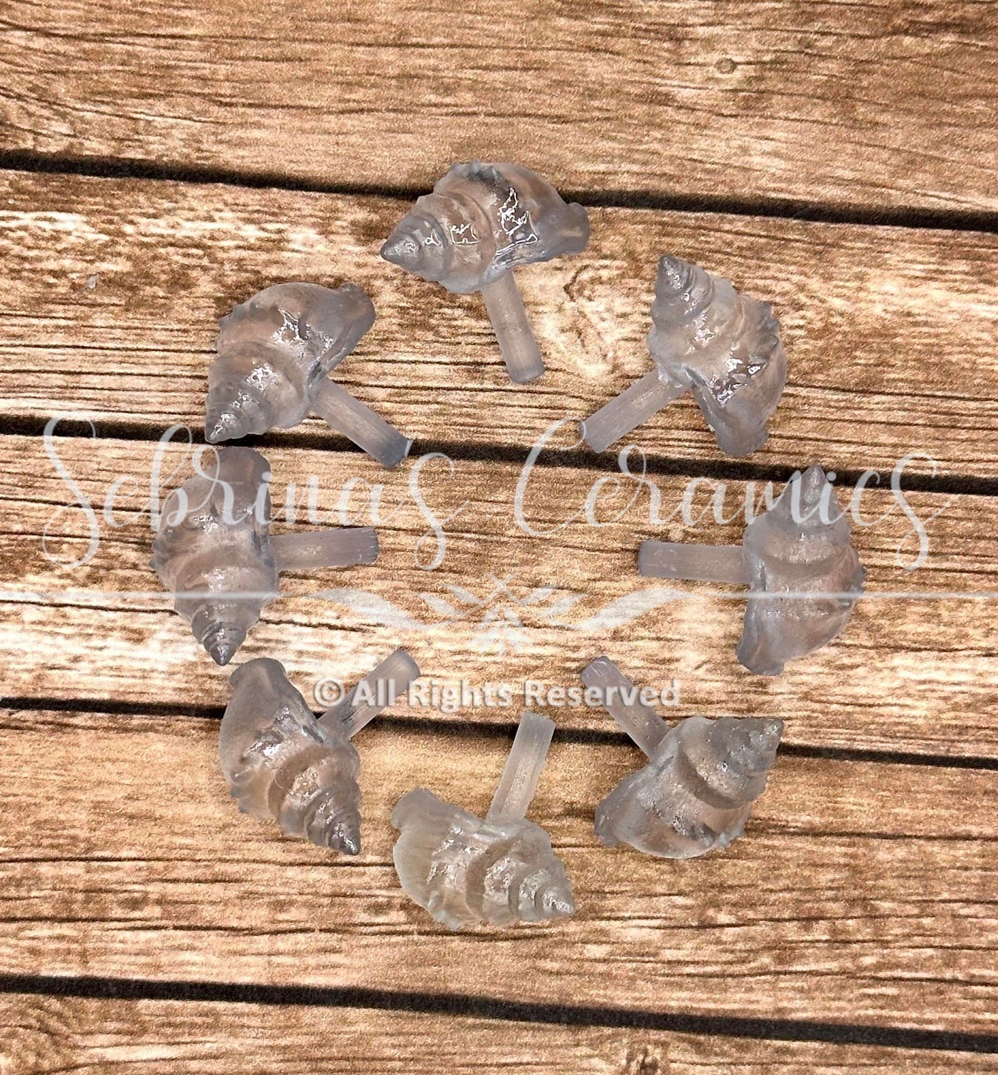Seashell - Christmas Tree Lights