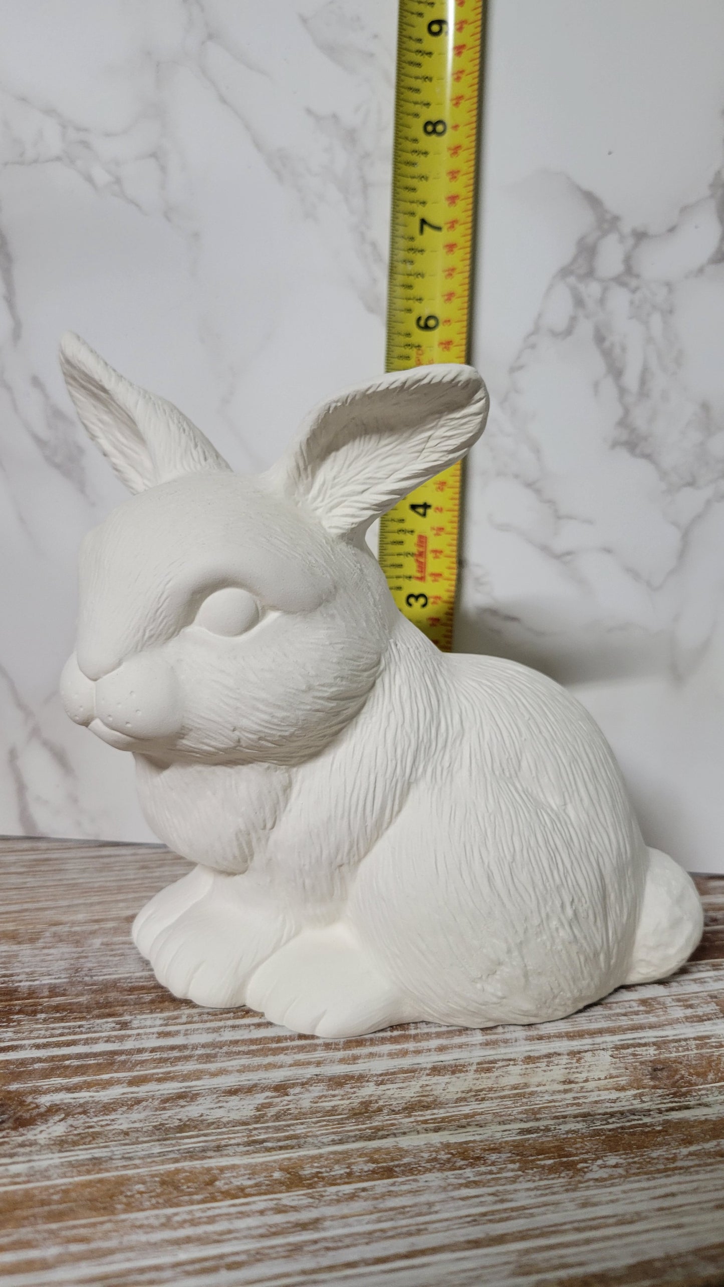 Sitting Bunny Rabbit - Scioto - S-450