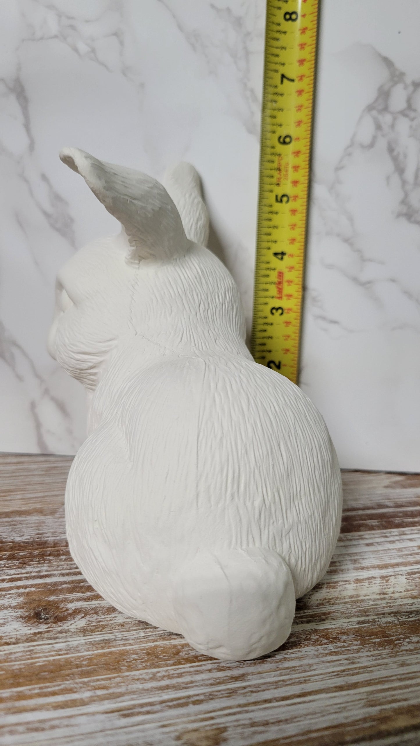 Sitting Bunny Rabbit - Scioto - S-450