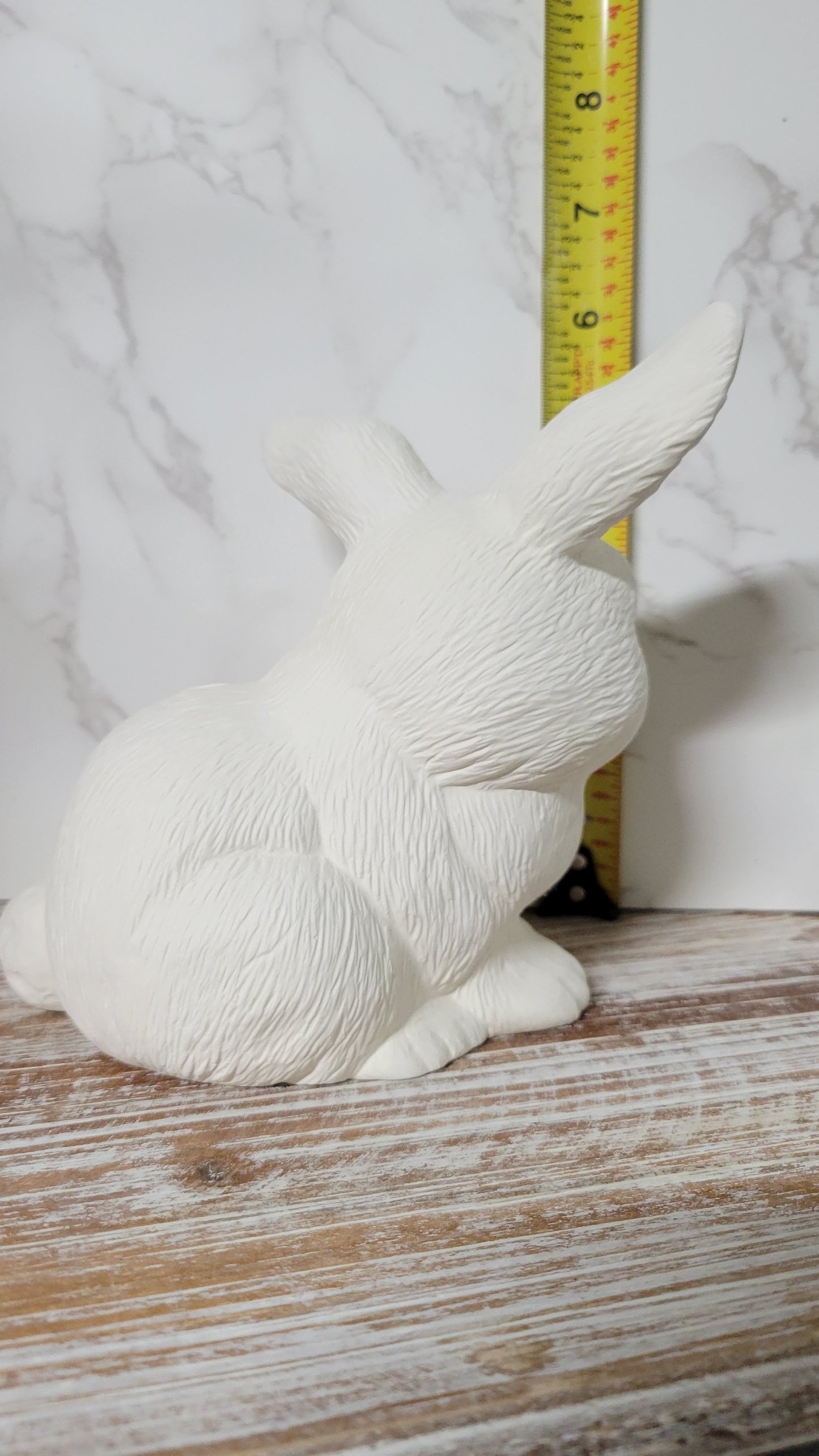 Sitting Bunny Rabbit - Scioto - S-450