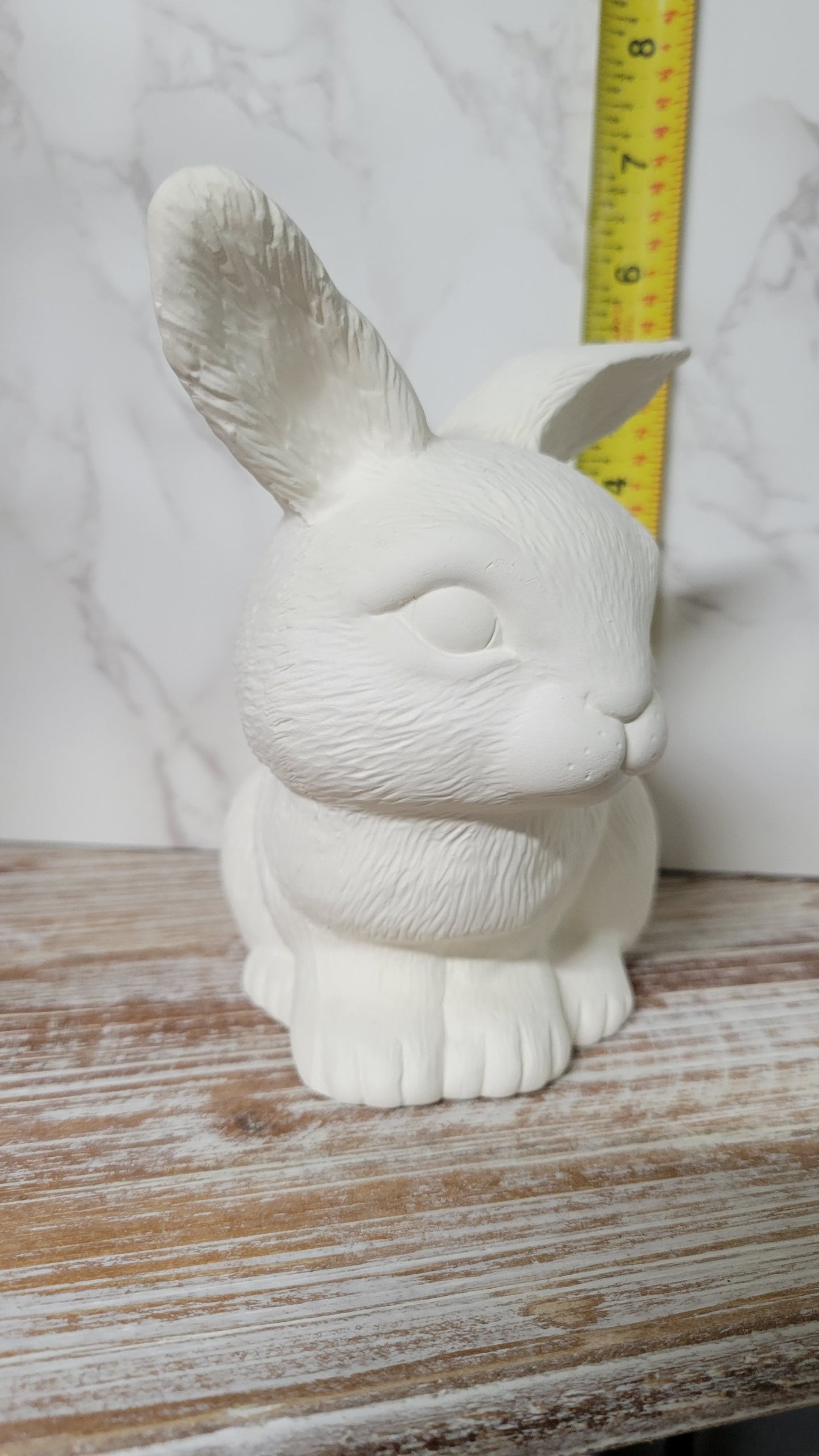 Sitting Bunny Rabbit - Scioto - S-450