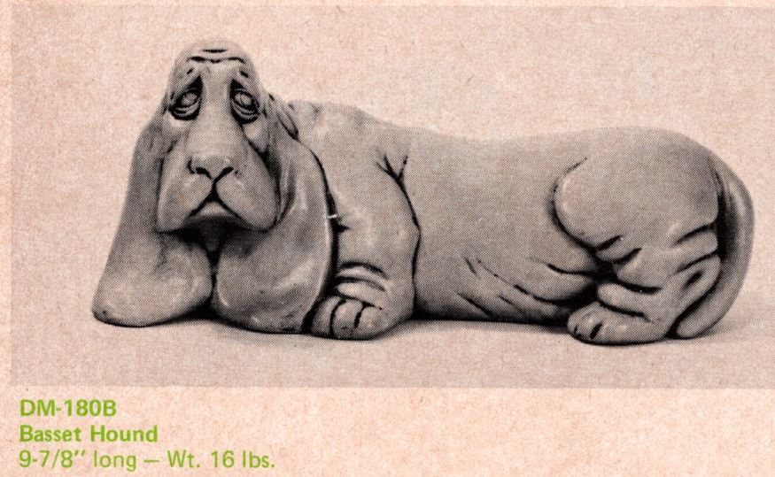 Basset Hound - Duncan - 180B