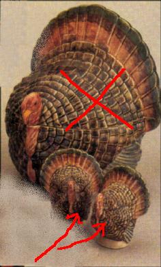 Turkeys - Duncan Ceramics - 160A