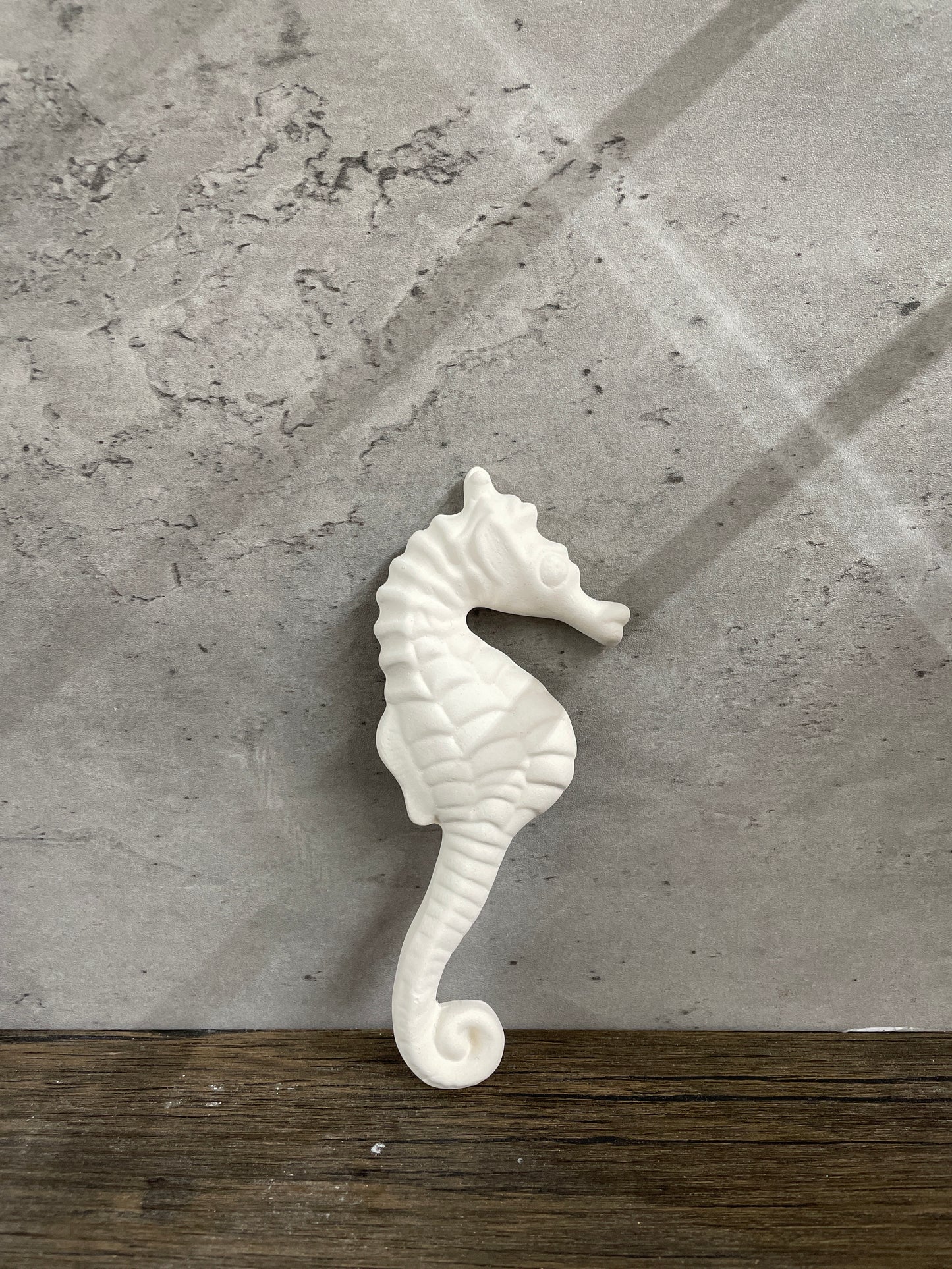 Sea Horse - Small - Unknown - Unknown
