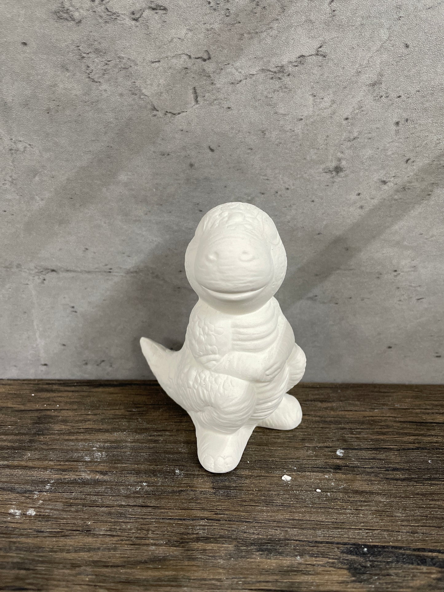 Baby Dinosaur