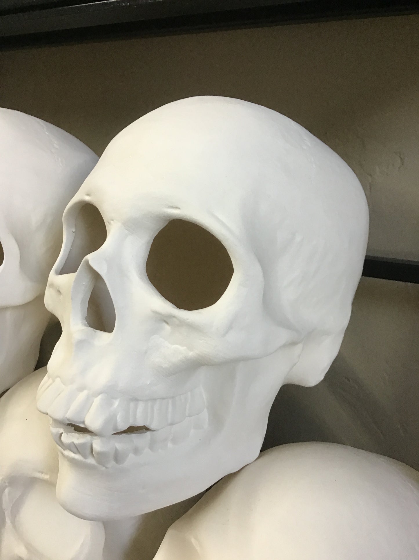 Realistic Skull - Scioto - S-711