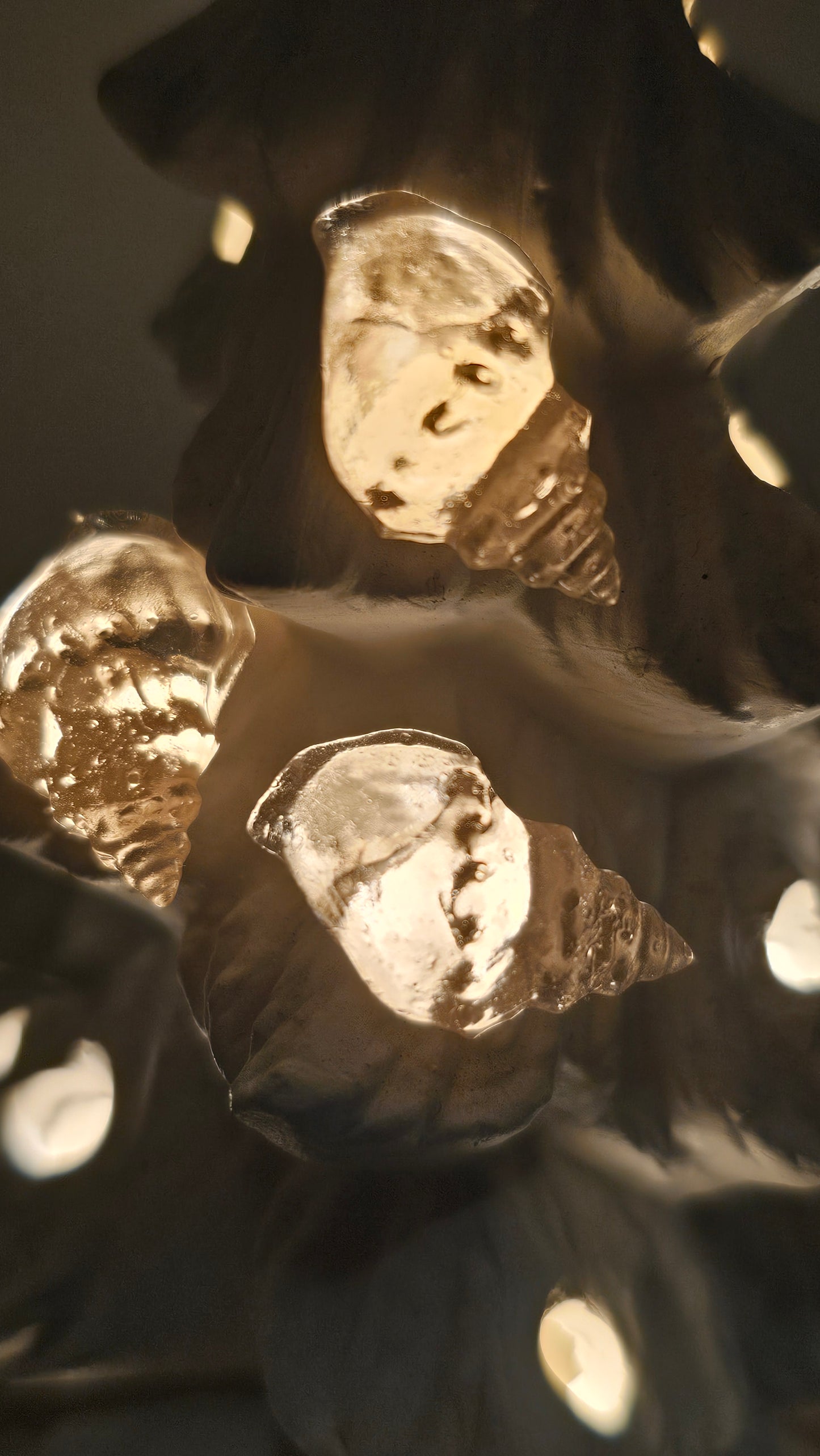 Seashell - Christmas Tree Lights