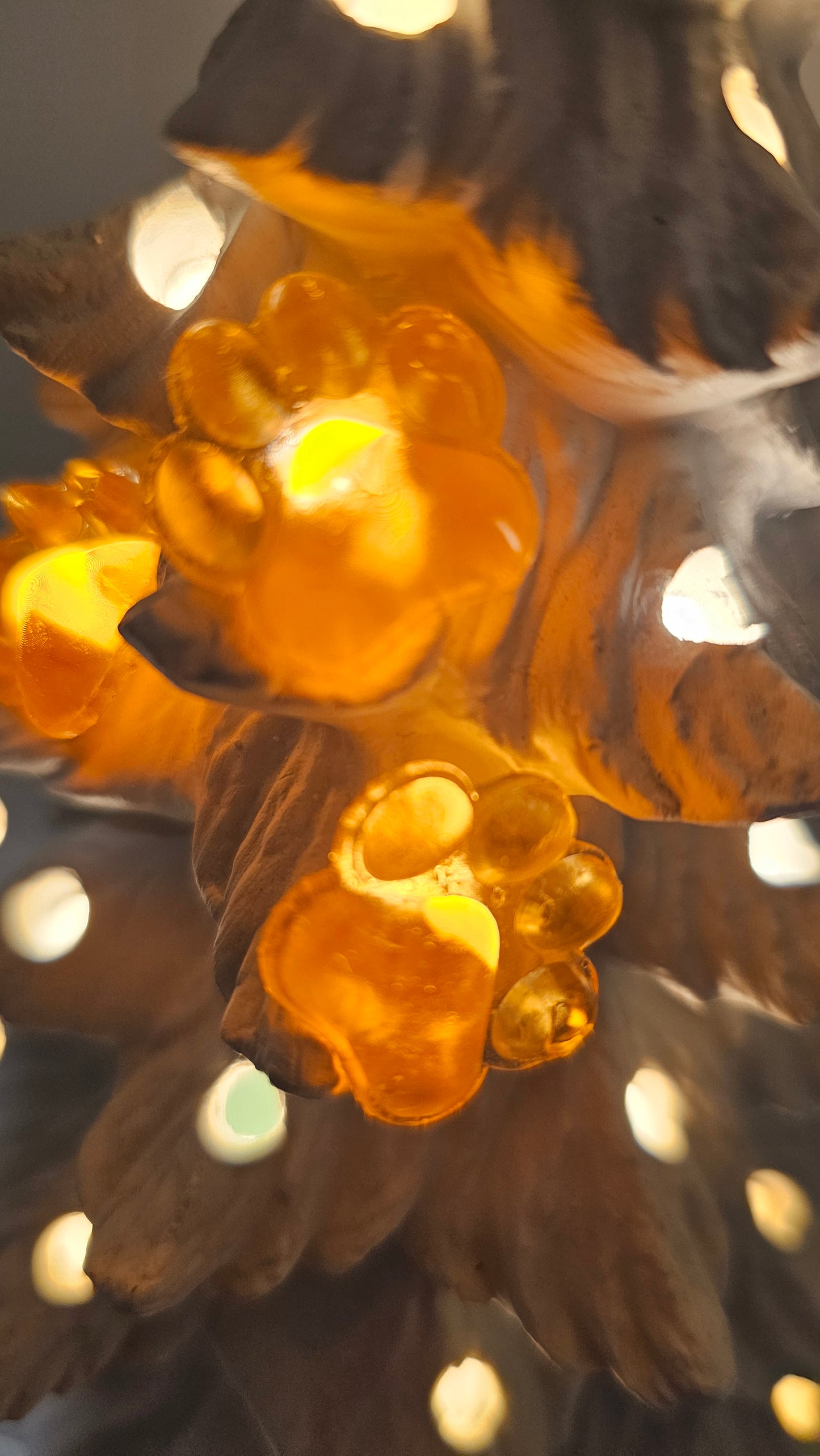 Paw Prints (Flat) - Christmas Tree Lights