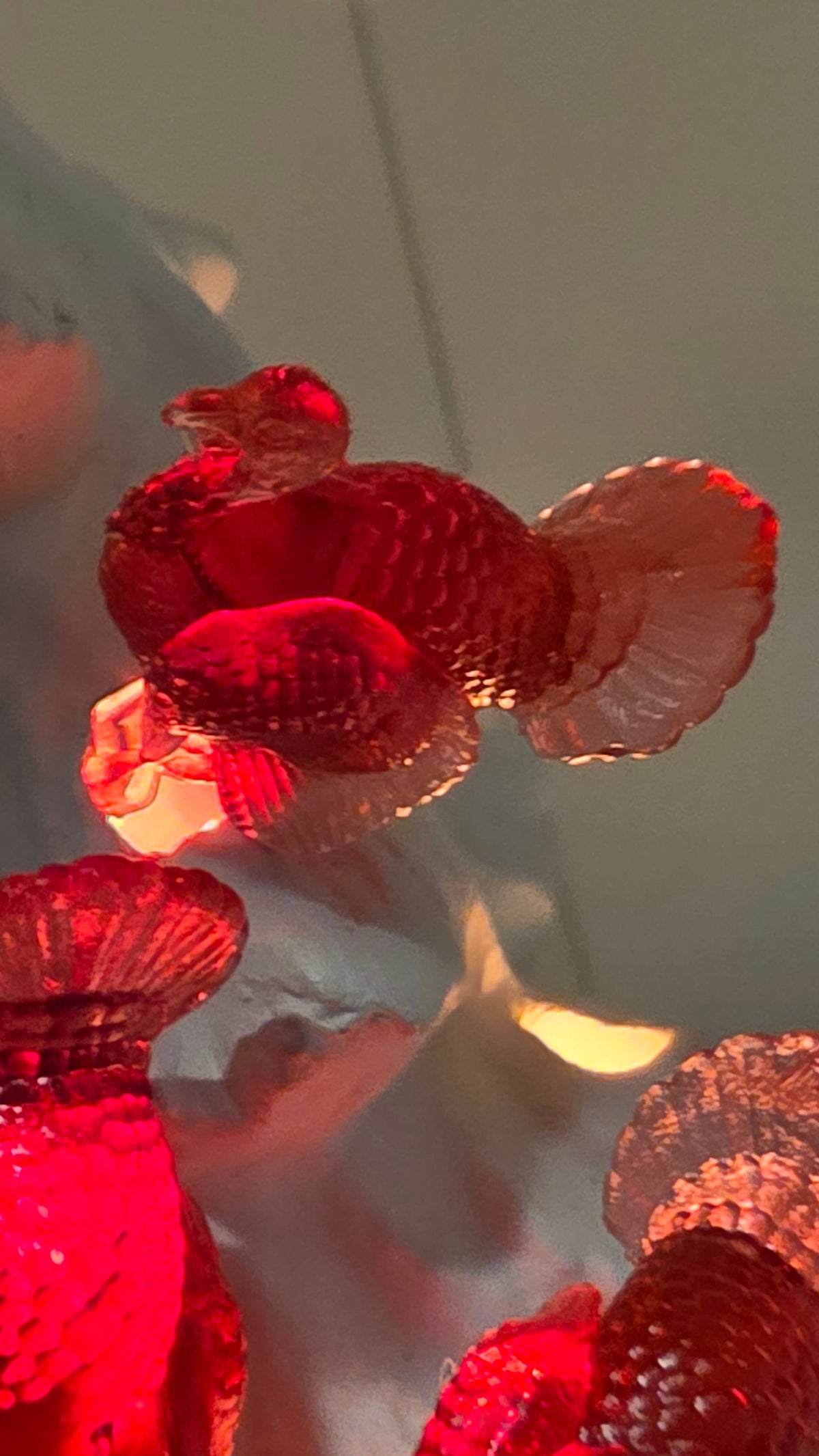 Turkey Ceramic Tree Lights