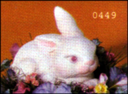 Lying Bunny - Scioto - S-449