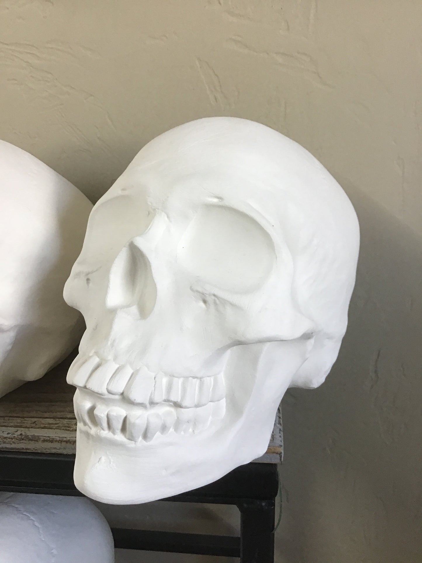 Realistic Skull - Scioto - S-711