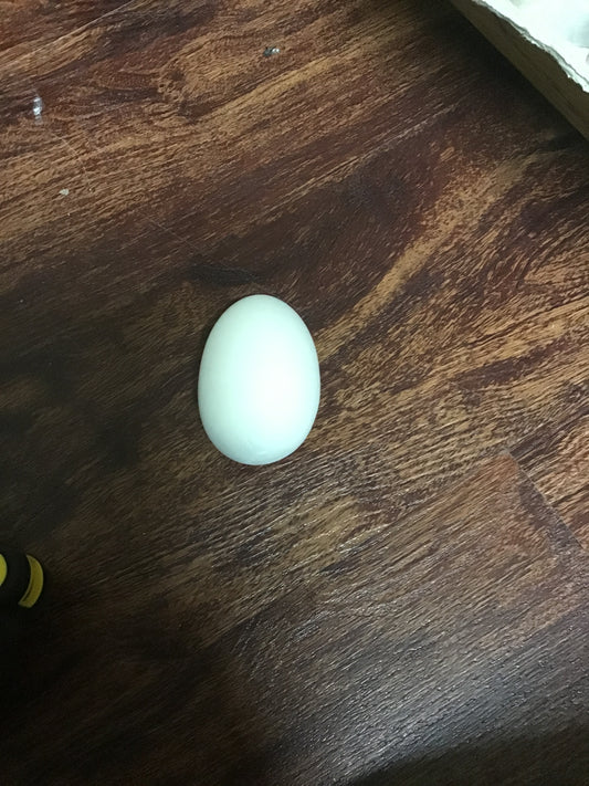 Extra Large Plain Egg - Unknown - Unknown
