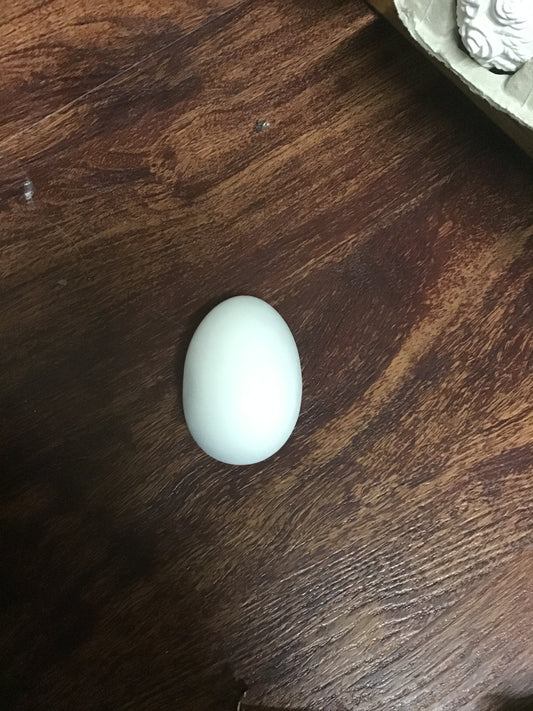 Large Eggs - Unknown - Unknown